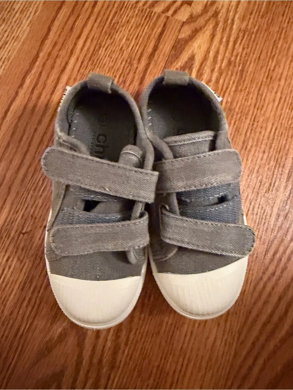 Chus Kids' Gray Canvas Velcro Sneaker